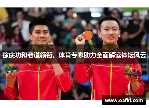 徐庆功和老道领衔，体育专家助力全面解读体坛风云